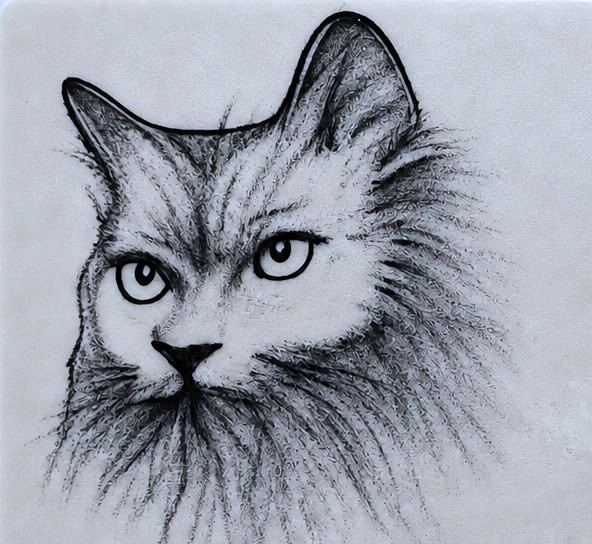 Sobre piel sintetica. La cara de un gato de pelo largo, mirando de frente, con el pelaje resuelto a base de miles de rayas finas que se abren hacia fuera.